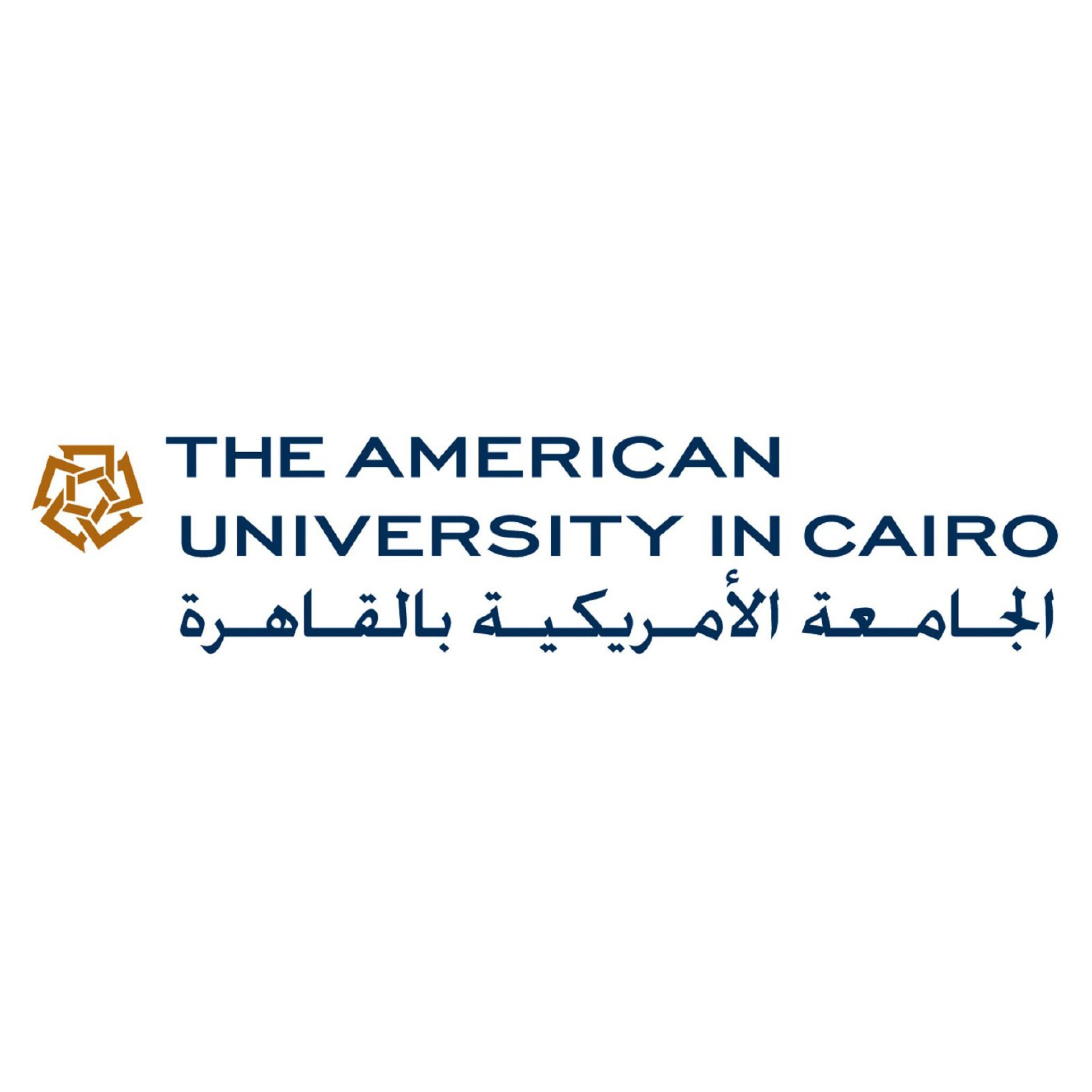 MM-academy-course-American University of Cairo logo