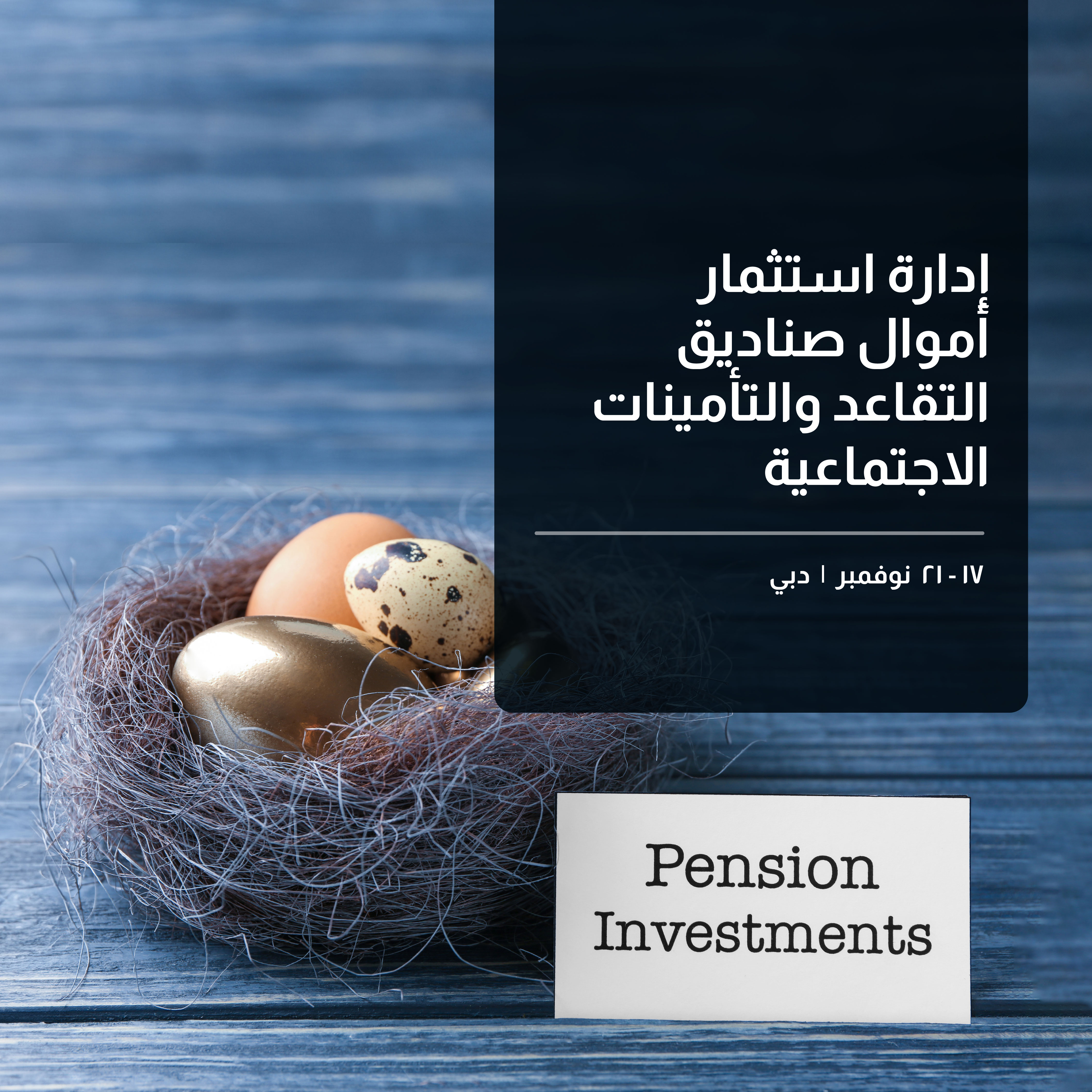 MM-academy-Investment Management of Pensions & Social Insurance Funds course banner