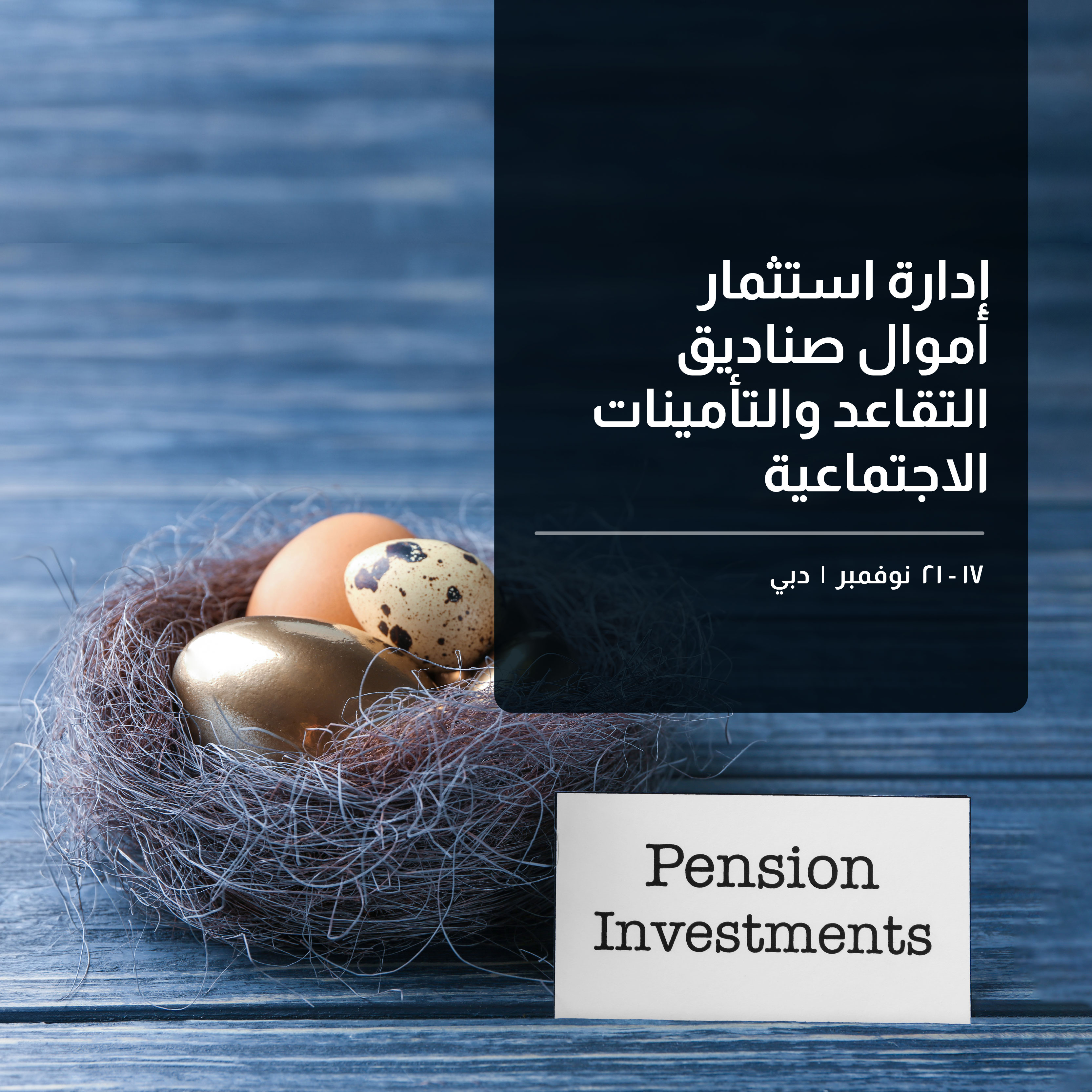 MM-academy-Investment Management of Pensions & Social Insurance Funds course banner