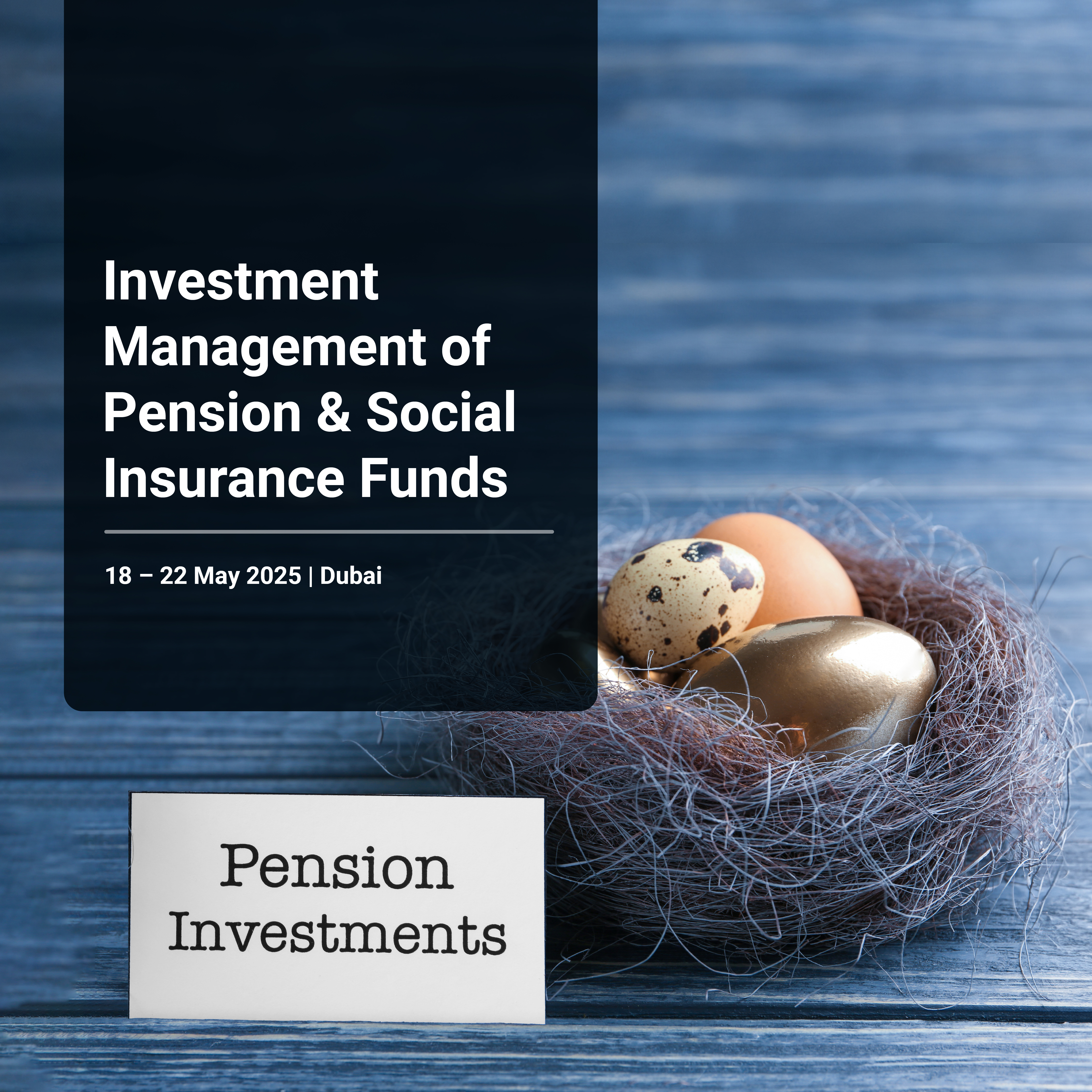 Investment Management of Pension & Social Insurance Funds