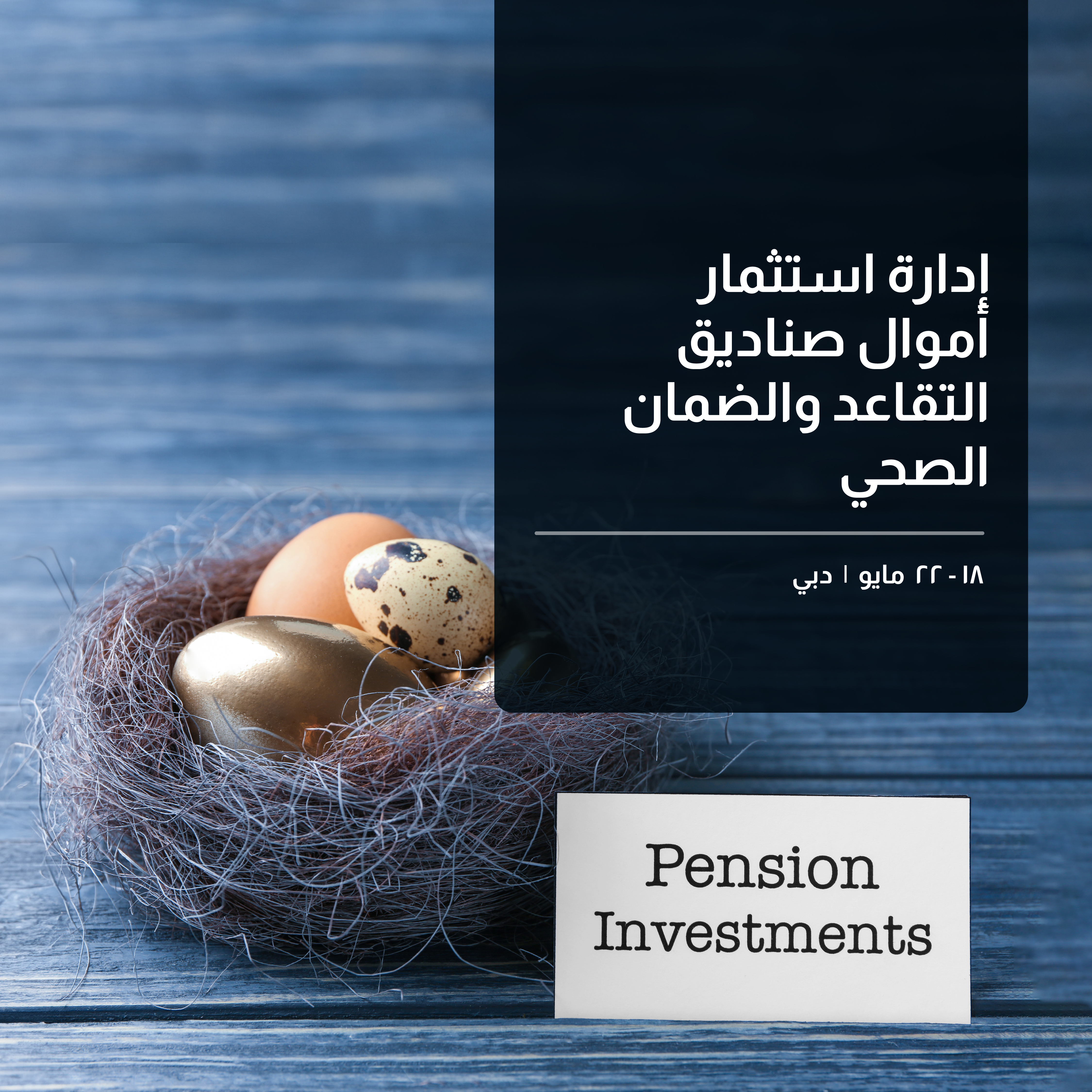 Investment Management of Pension & Social Insurance Funds